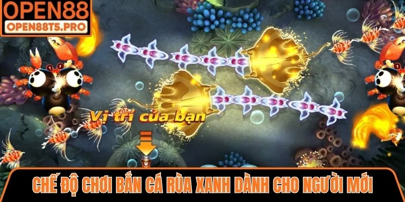 Chế độ dành cho người mới