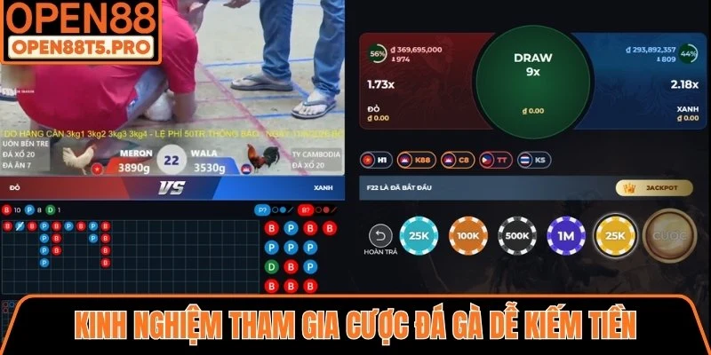 Kinh nghiệm tham gia đá gà