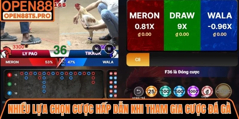 Nhiều lựa chọn cược hấp dẫn