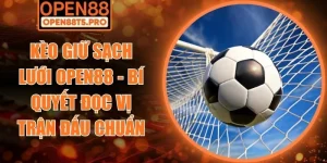 Kèo giữ sạch lưới