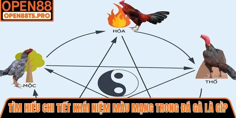 Tìm hiểu màu mạng trong đá gà là gì