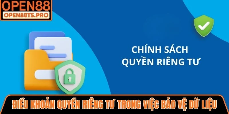 Điều khoản quyền riêng tư trong việc bảo vệ dữ liệu khách hàng